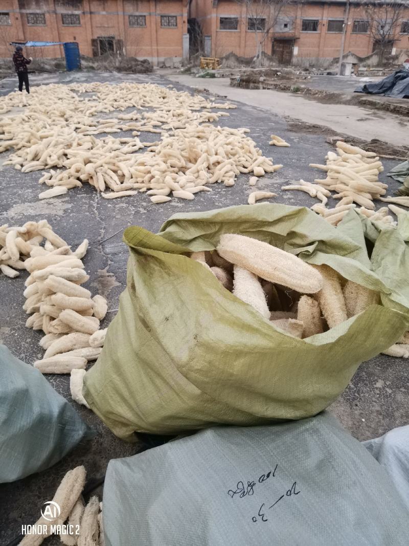 丝瓜络水瓜丝瓜瓢洗碗神器笨瓜菜丝瓜老丝瓜瓤