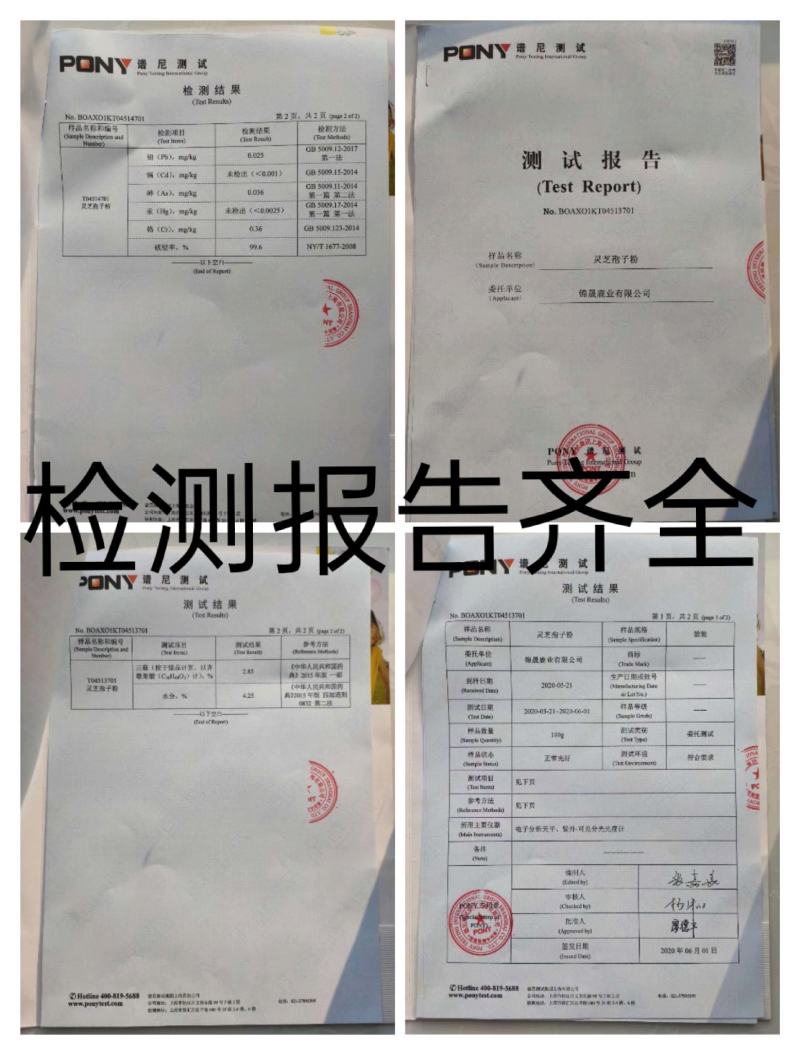 长白山灵芝孢子粉自家种植一手货源产地直供