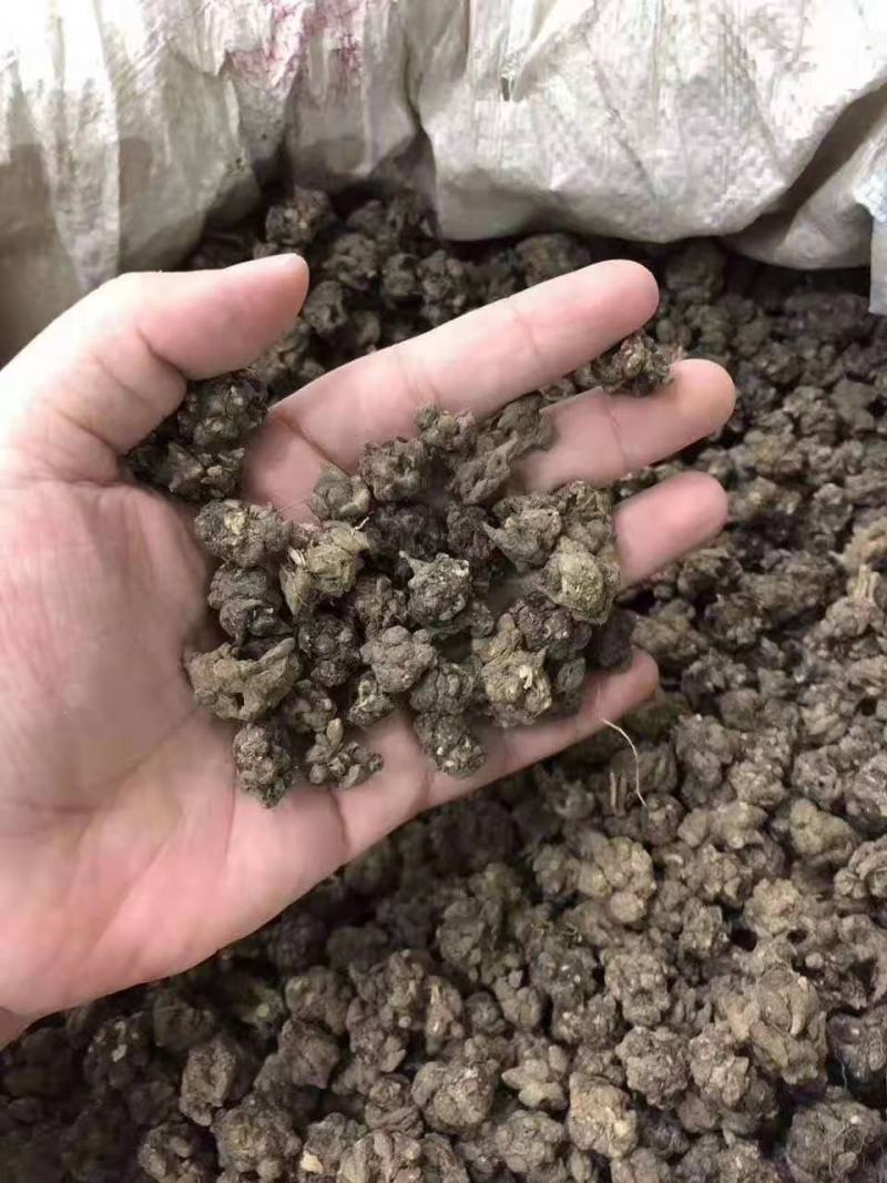 云南中药材猫爪草水洗猫抓草猫抓儿草500g包邮