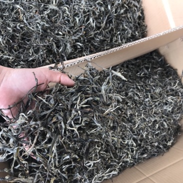 普洱茶古树茶生茶花香回甘甜生津持久耐泡散茶有机茶茶叶