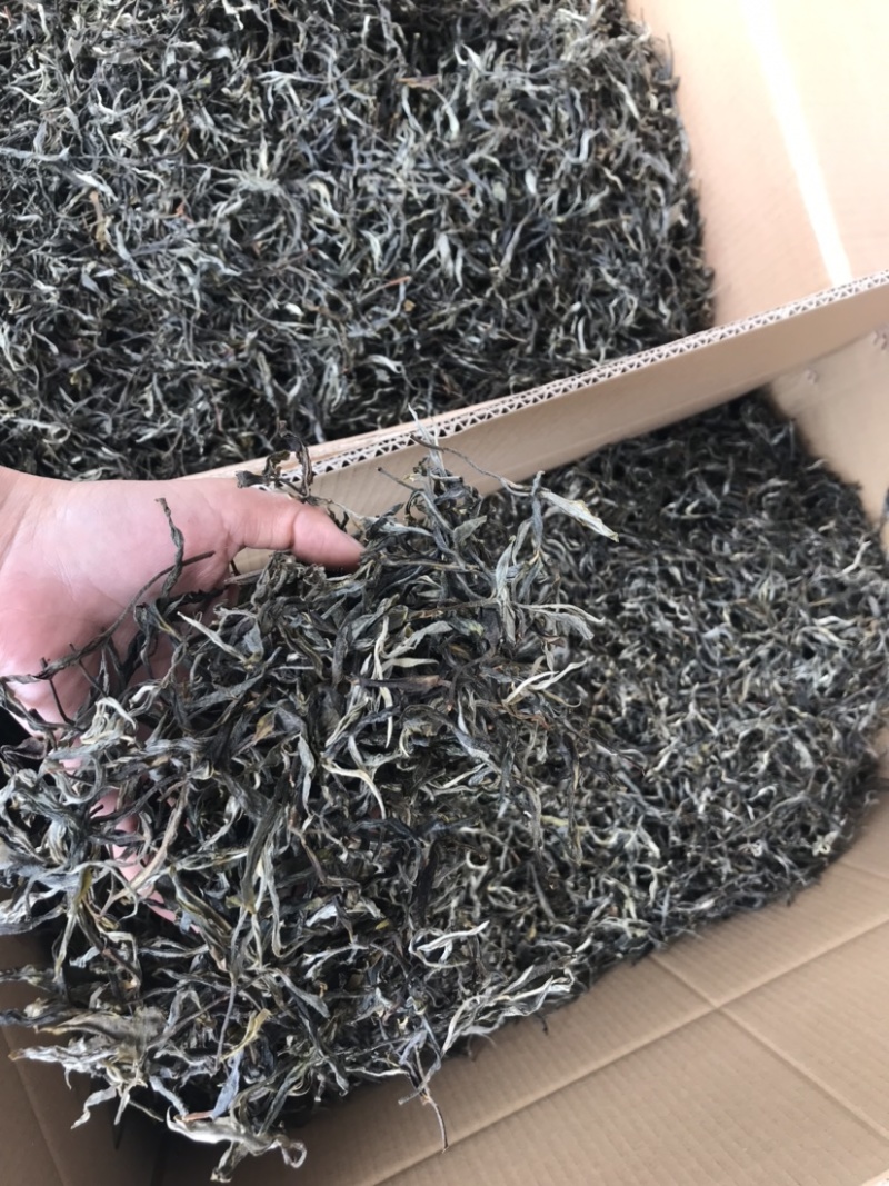 普洱茶古树茶生茶花香回甘甜生津持久耐泡散茶有机茶茶叶