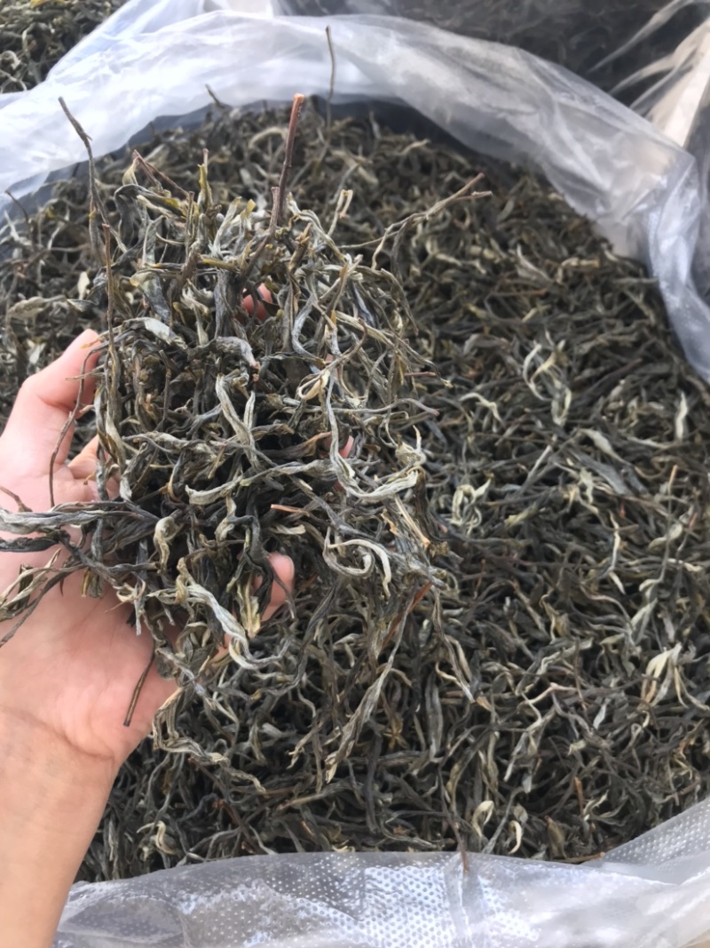 普洱茶古树茶生茶花香回甘甜生津持久耐泡散茶有机茶茶叶