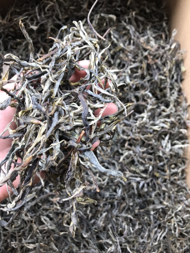 普洱茶古树茶生茶花香回甘甜生津持久耐泡散茶有机茶茶叶