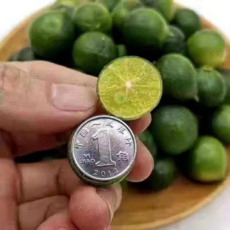 进口金桔，香水柠檬新鲜出炉