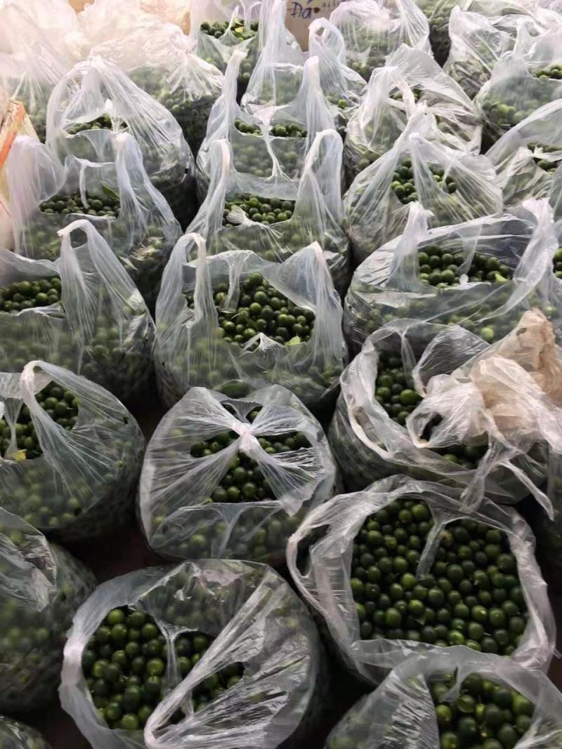 进口金桔，香水柠檬新鲜出炉