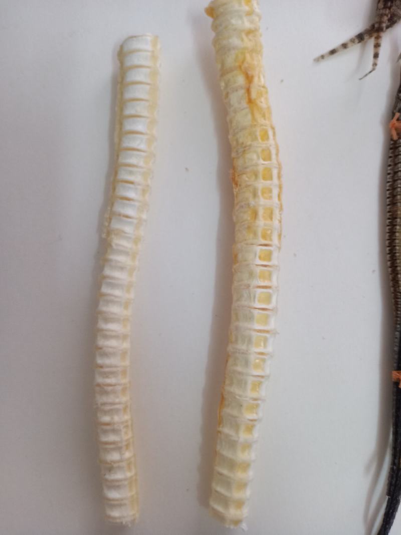北海特色袋装泡酒料含10味药材批发量大从优！！