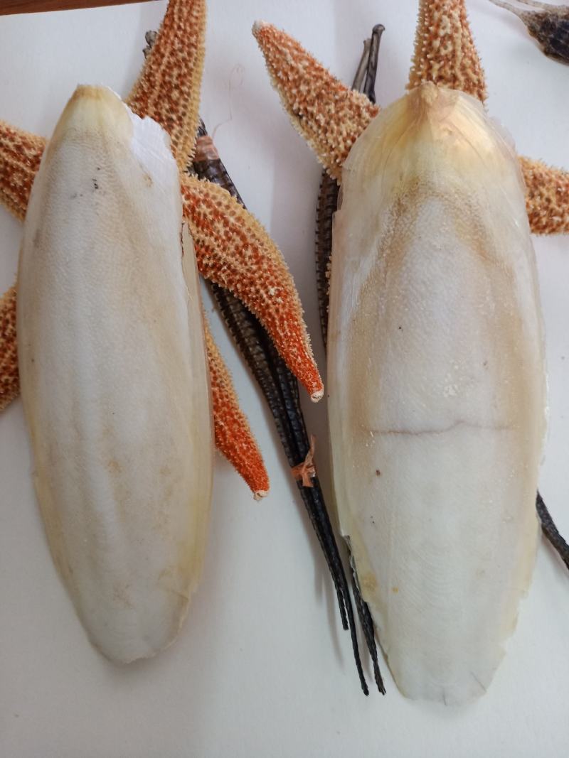 北海特色袋装泡酒料含10味药材批发量大从优！！