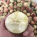 红不软桃子突围桃水蜜桃曙光油桃518桃子大量上市