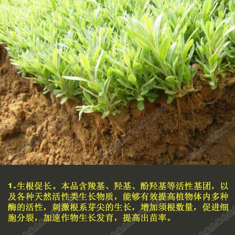 矿源黄腐酸钾水溶肥料抗重茬除盐碱生根促长促进膨果着色