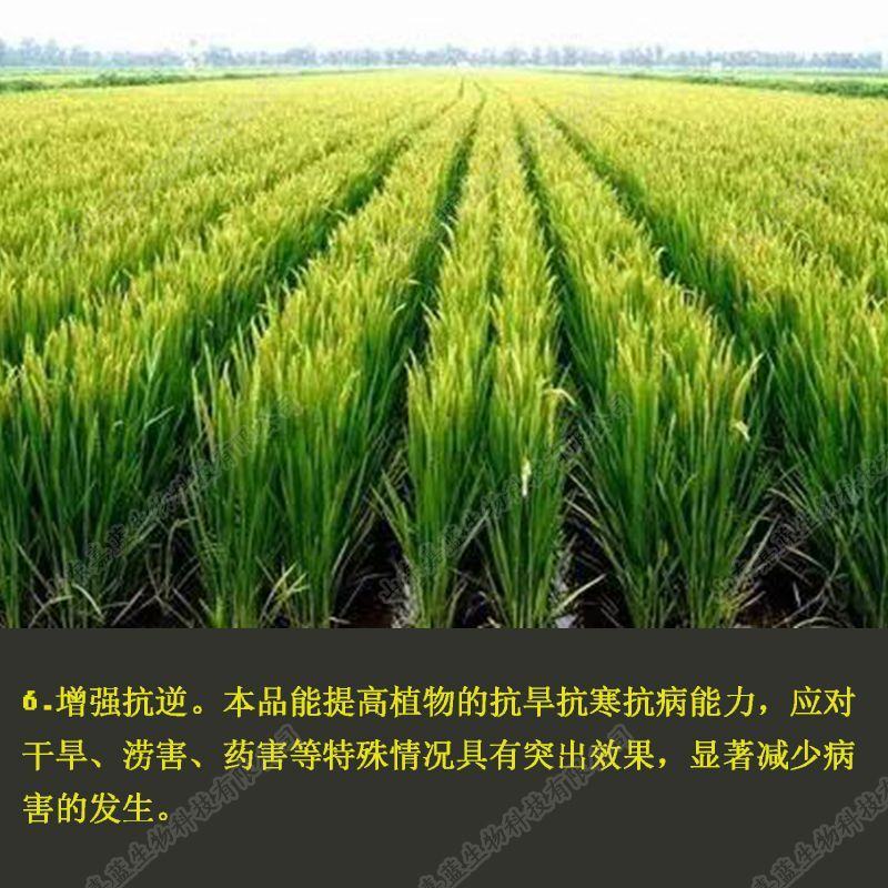 矿源黄腐酸钾水溶肥料抗重茬除盐碱生根促长促进膨果着色
