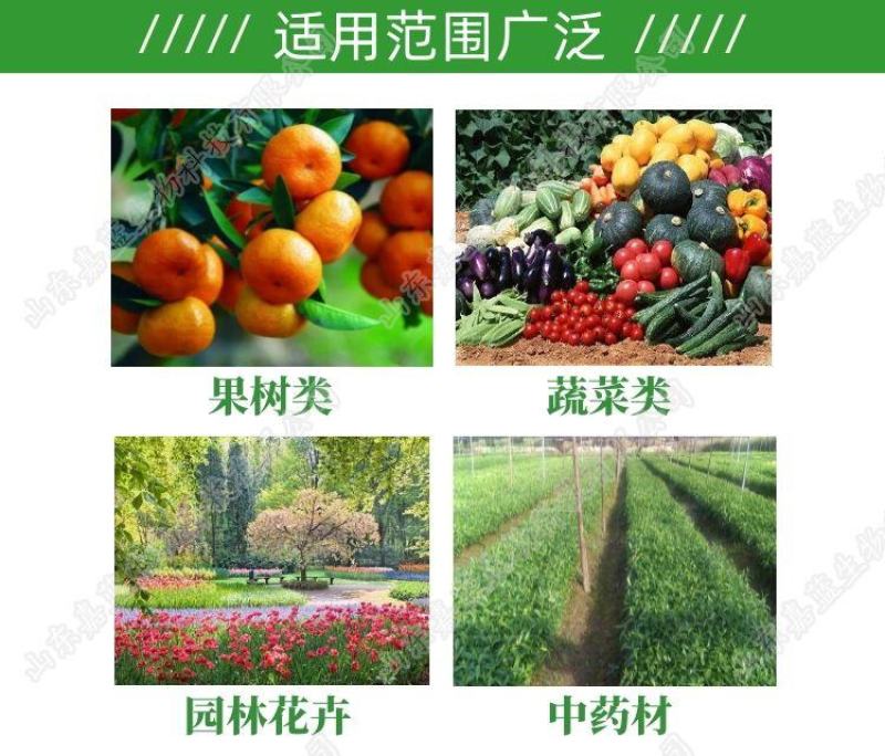 枯草芽孢杆菌哈茨木霉复合微生物菌剂防根腐抗重茬护根促长