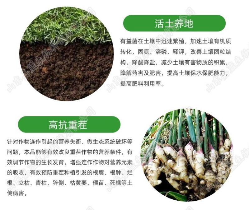 枯草芽孢杆菌哈茨木霉复合微生物菌剂防根腐抗重茬护根促长