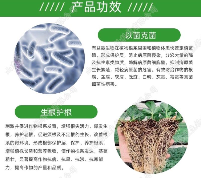 枯草芽孢杆菌哈茨木霉复合微生物菌剂防根腐抗重茬护根促长