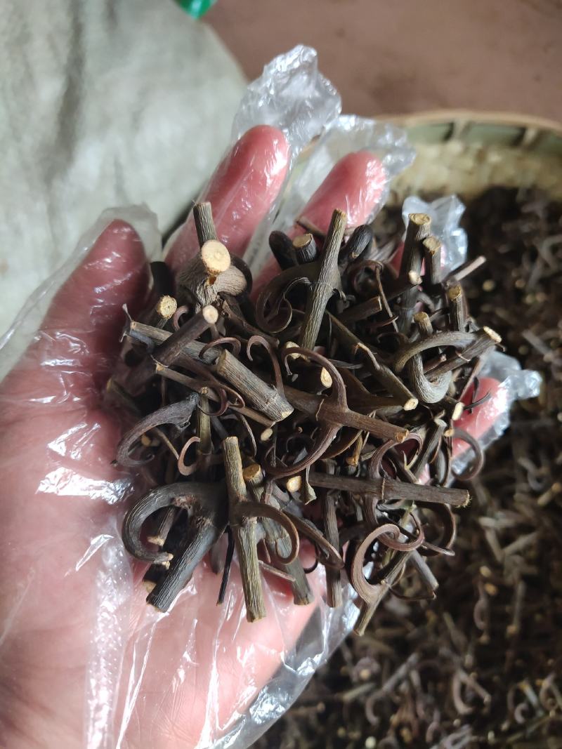 98%带钩云南野生中药材钩藤双钩藤勾藤倒挂刺鹰爪风钩