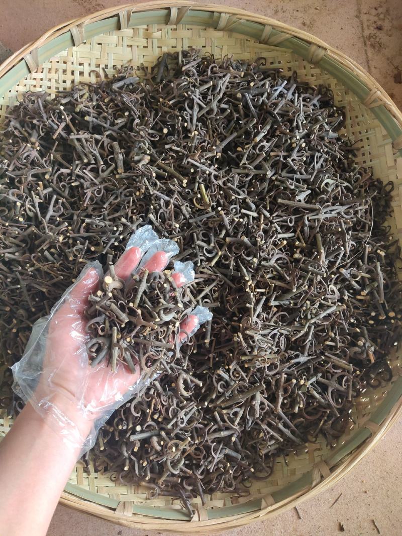 98%带钩云南野生中药材钩藤双钩藤勾藤倒挂刺鹰爪风钩