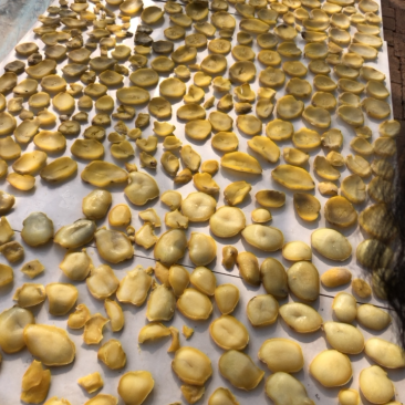 脱水土豆片，自然晾晒，手工制作，0.5-0.7