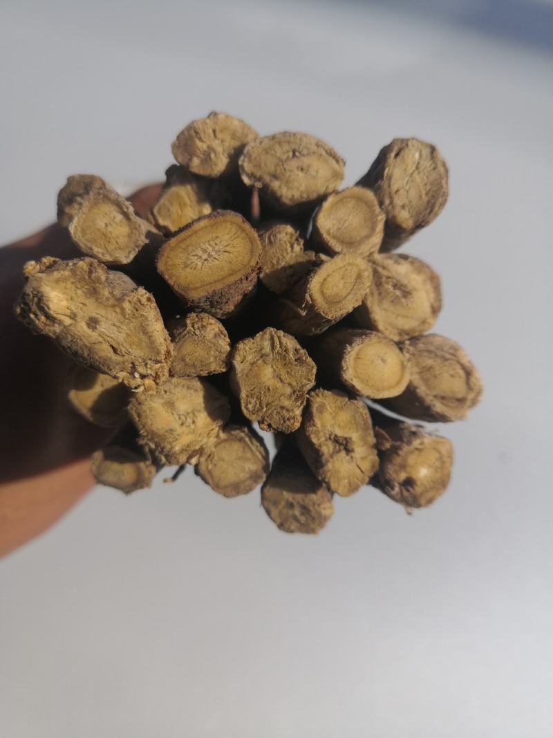 甘肃黄芪棒本地无硫熏自产自销批发可按要求下单订货产地发货