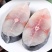 新鲜冷冻鲜活马鲛鱼500-700大马胶鱼大鲅鱼净重16斤