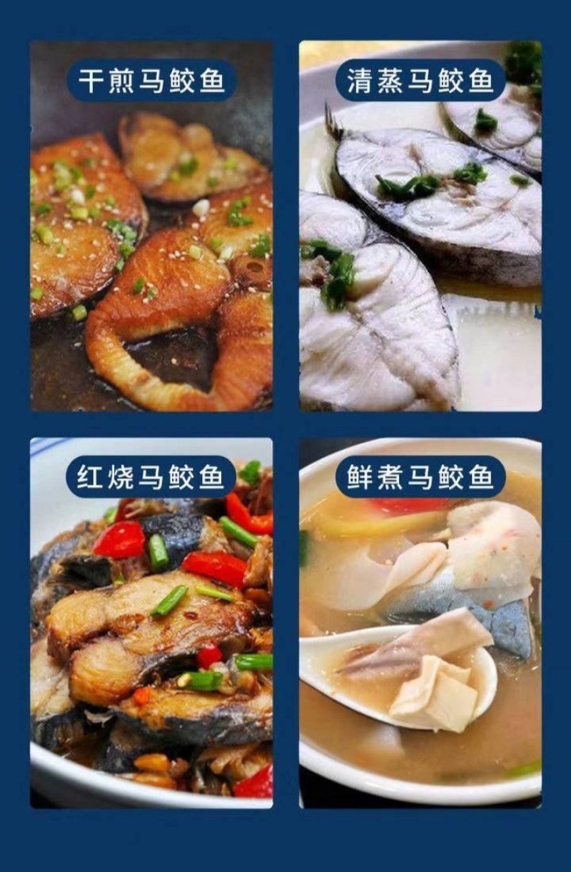新鲜冷冻鲜活马鲛鱼500-700大马胶鱼大鲅鱼净重16斤