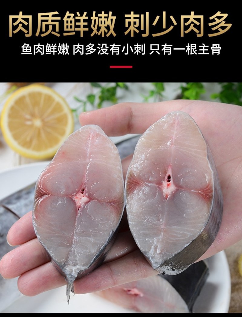 新鲜冷冻鲜活马鲛鱼500-700大马胶鱼大鲅鱼净重16斤