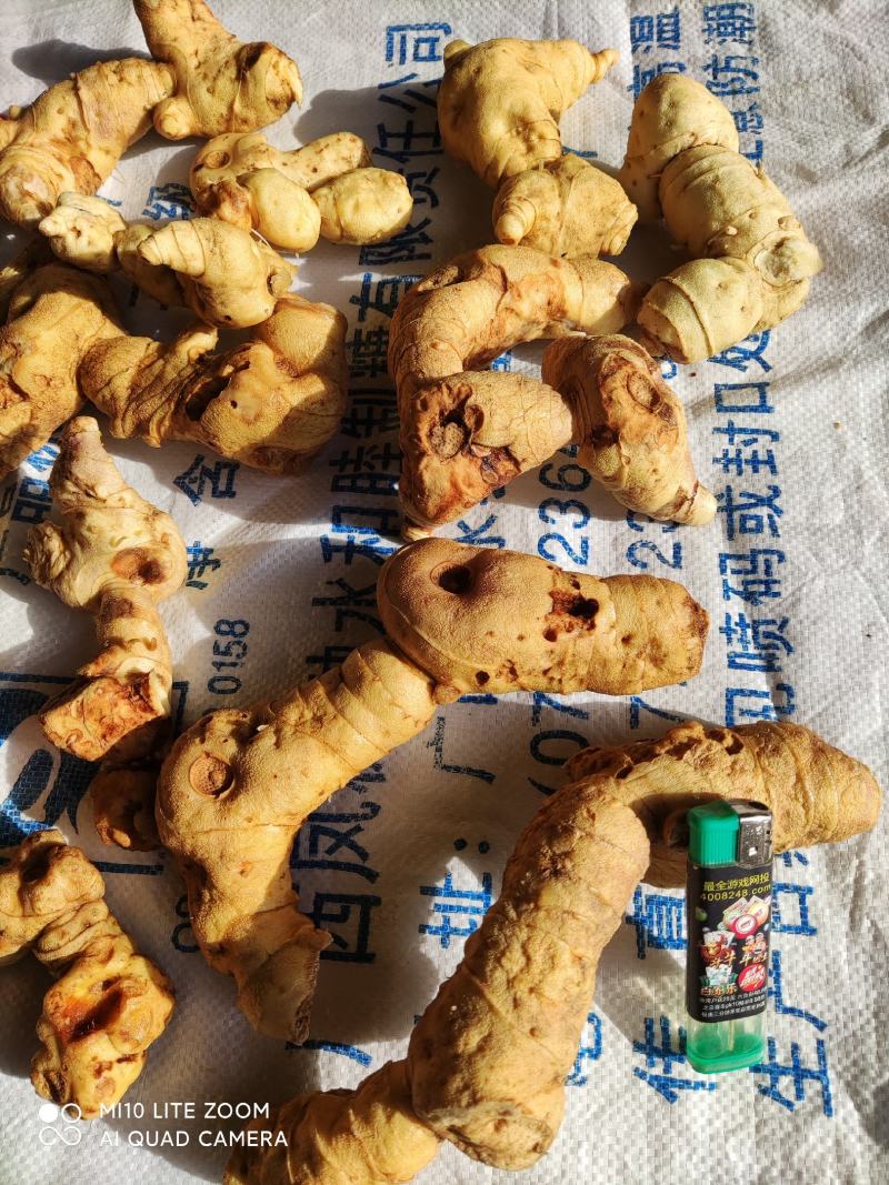 野生鸡头老黄精片（蒸晒干切片小包装，小批量）药食同源，