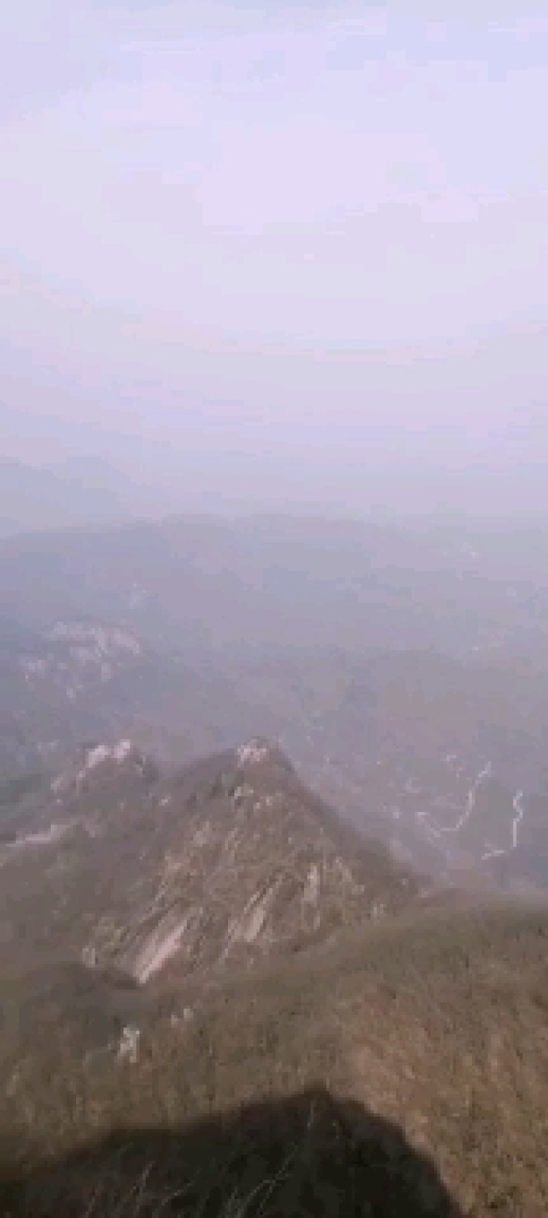野生无硫丹参参片货好才是真好质量才是我的目标