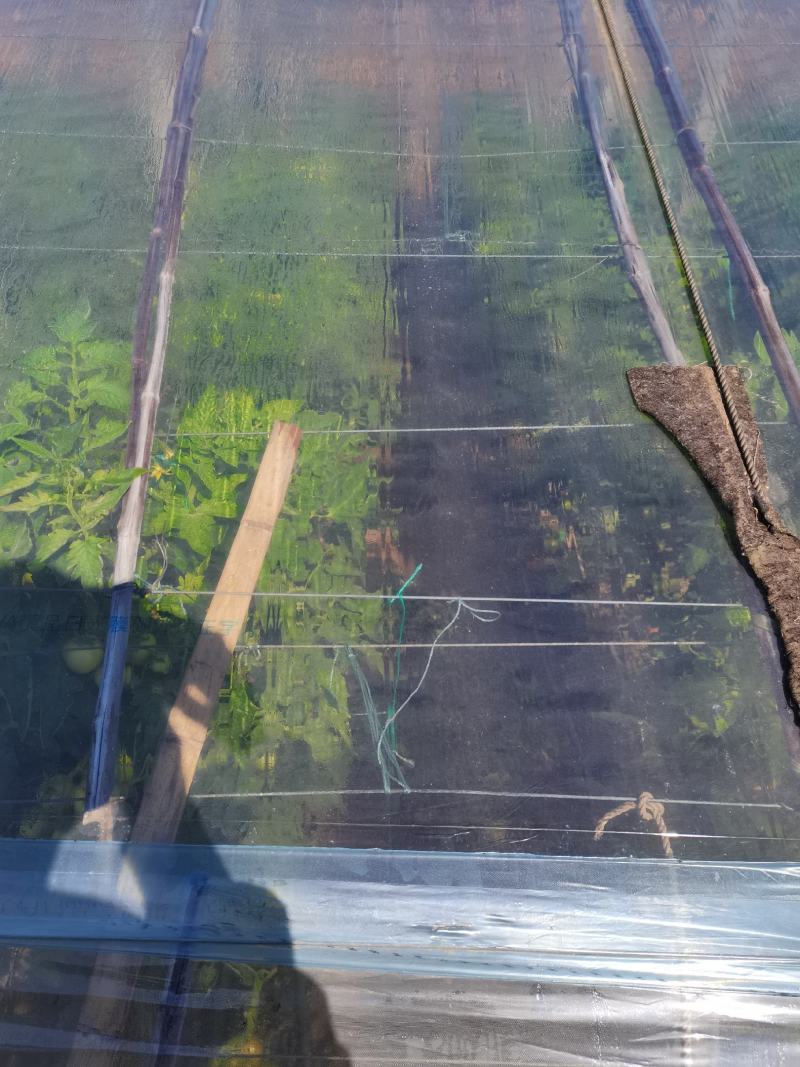 精品5+1水晶PO膜暖棚专用(寿光当地热销膜)
