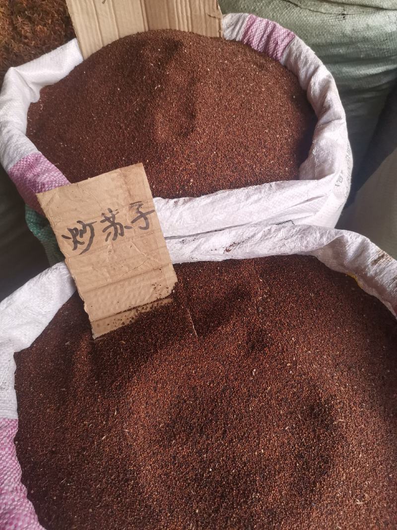 紫苏子河南小粒东北中粒甘肃大粒无杂净货量大从优