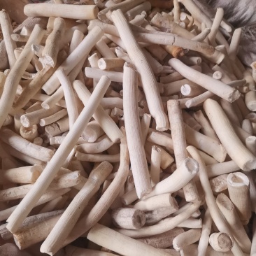 大通草小通草统个切片量大从优无硫净货