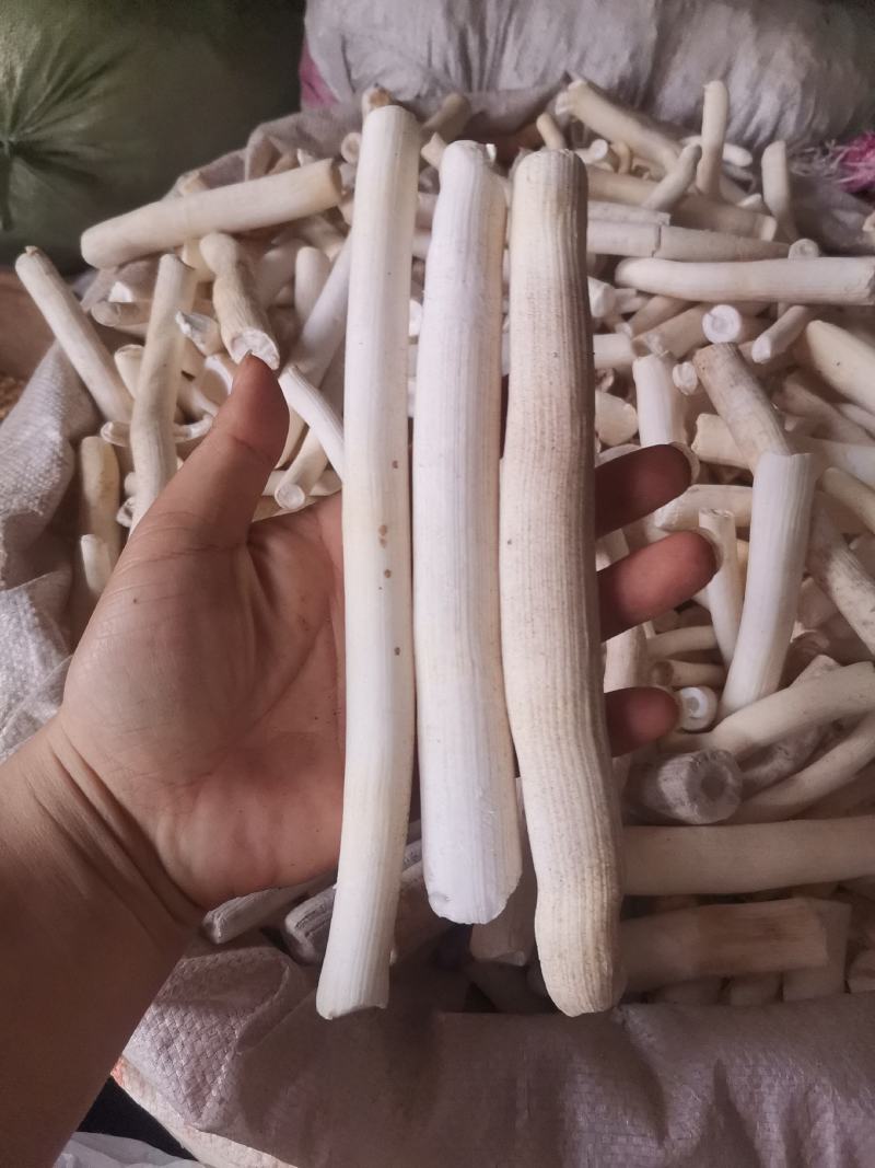 大通草小通草统个切片量大从优无硫净货