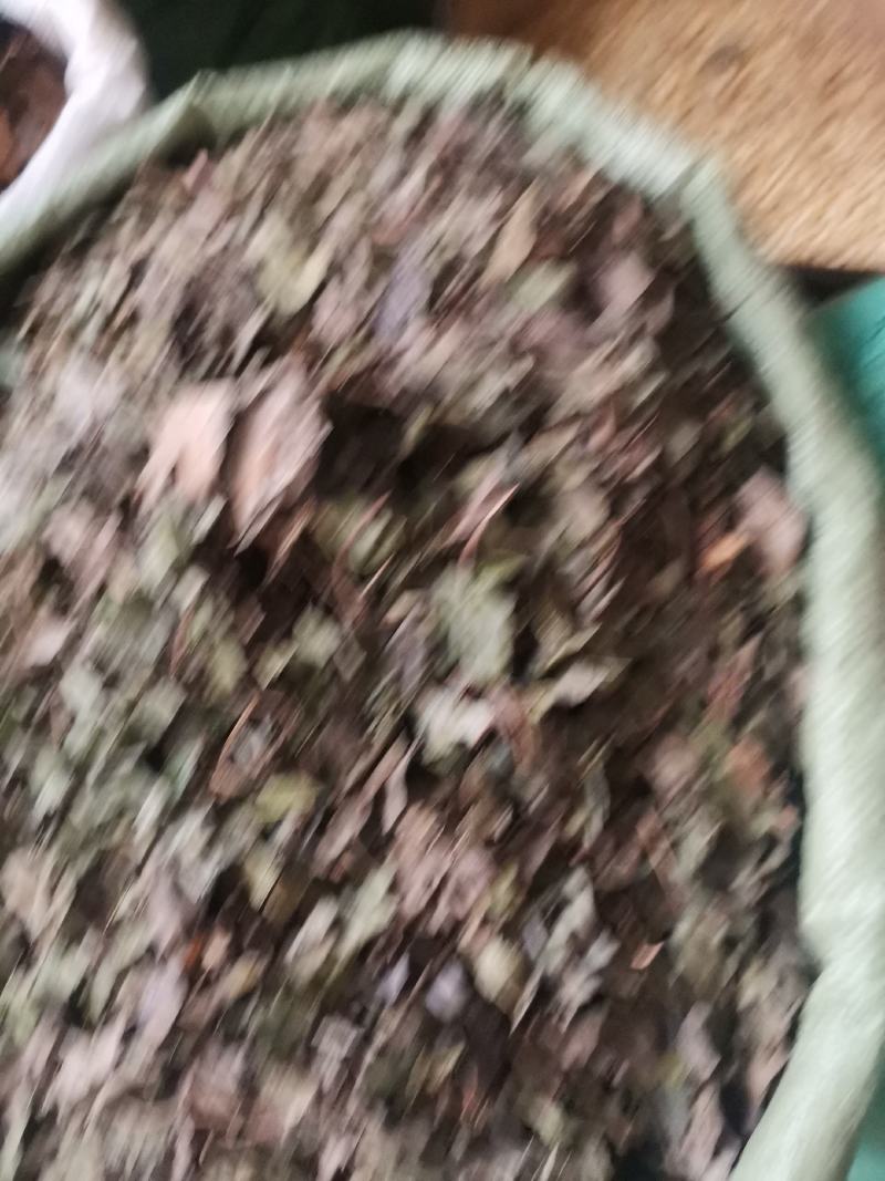 矮地茶无杂净货量大从优欢迎选购