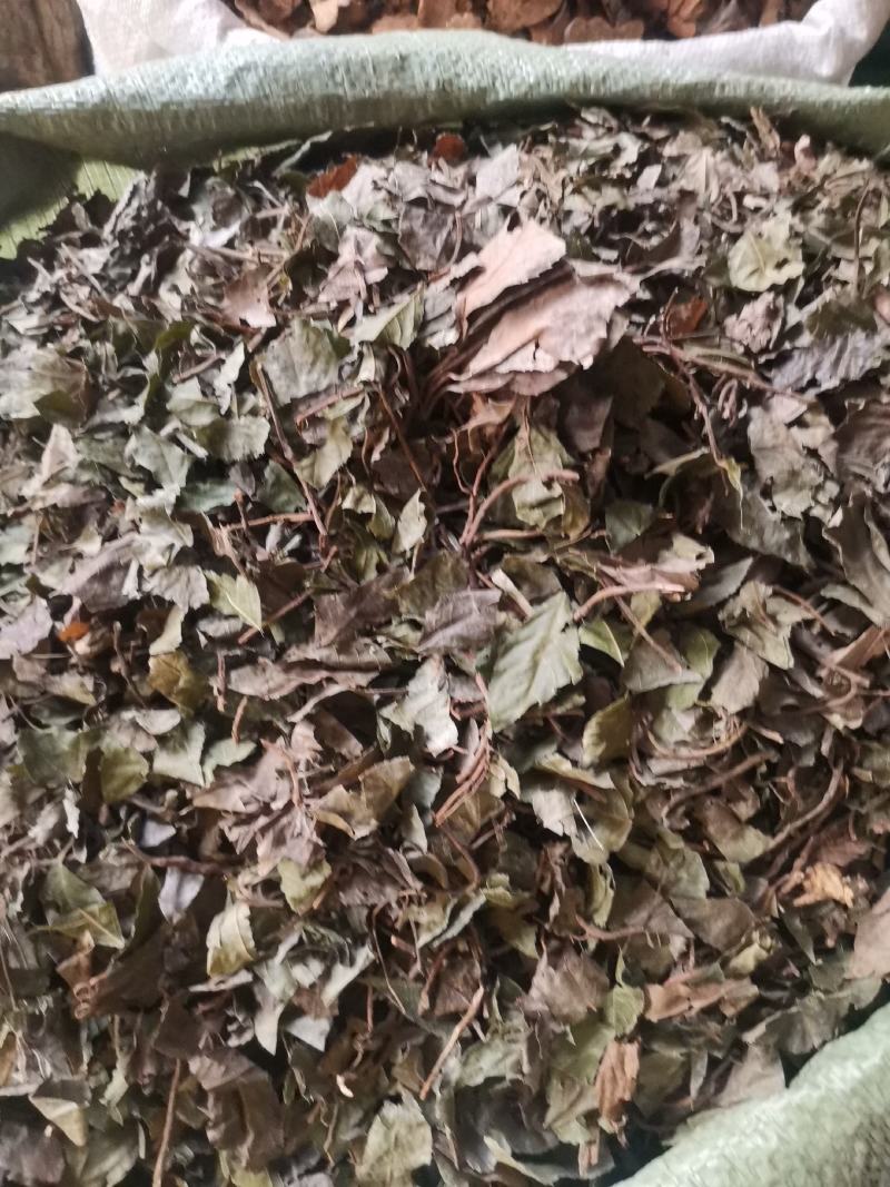 矮地茶无杂净货量大从优欢迎选购
