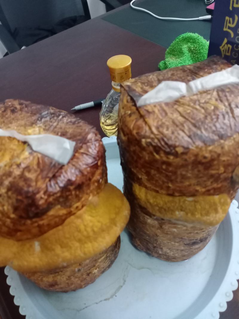 桑黄