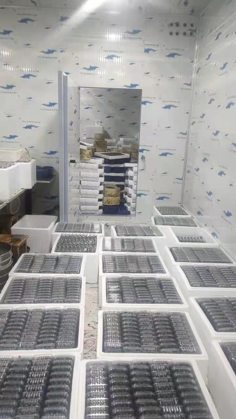 电商，渠道蓝莓小果有量