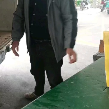 大球盖菇