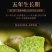 铁皮石斛霍山正宗野生石斛枫量大从优欢迎来单
