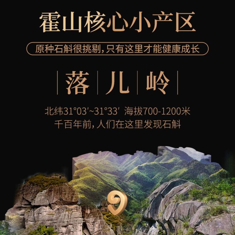 铁皮石斛霍山正宗野生石斛枫量大从优欢迎来单