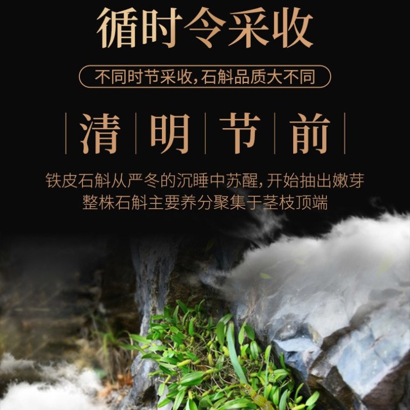 铁皮石斛霍山正宗野生石斛枫量大从优欢迎来单