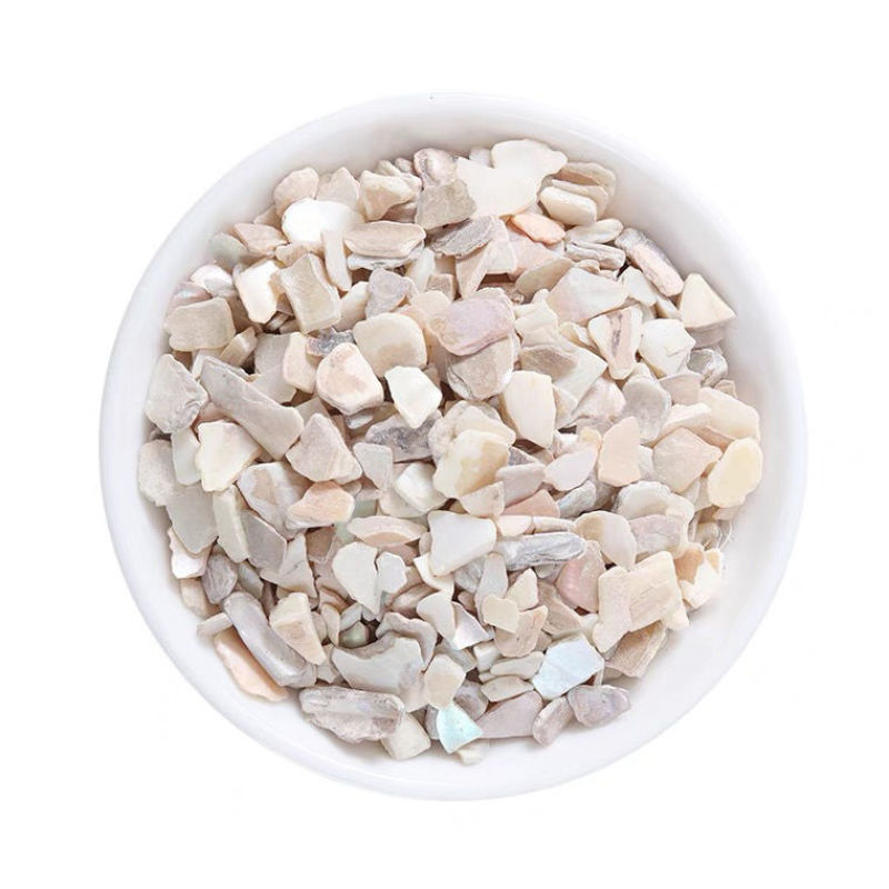 中药材珍珠母珍珠母珠母真珠母明珠母量大从优