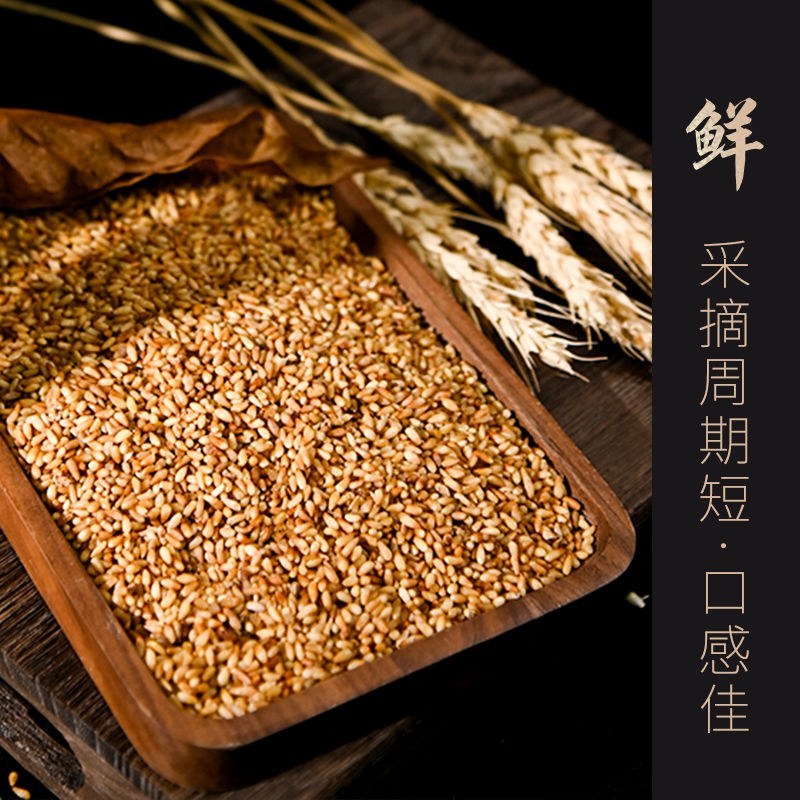 中药材柏子仁野生新货去壳柏子仁优质柏子仁茶柏子仁粉特级