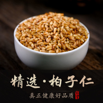 中药材柏子仁野生新货去壳柏子仁优质柏子仁茶柏子仁粉特级