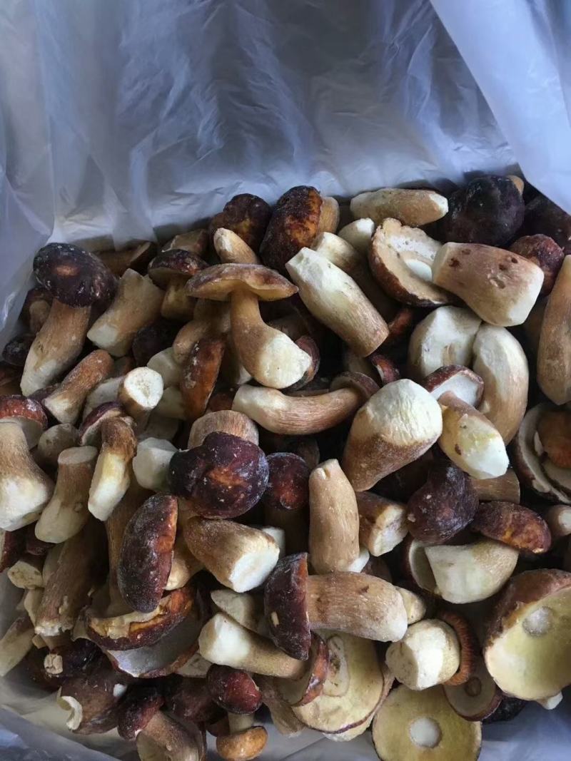云南特产冰冻白牛肝菌美味牛肝菌大脚菇菌冻品产地直销