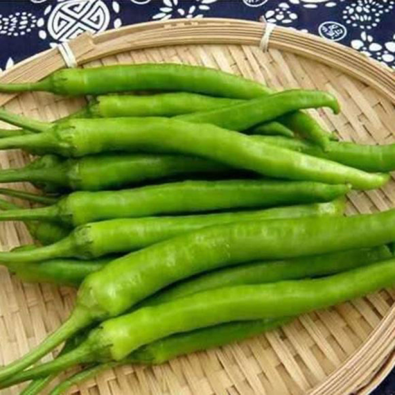 杭椒鲜辣椒产地一手货源货量充足量大质优