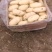 荷兰十五土豆