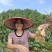 湖南藠头荞头鲜货