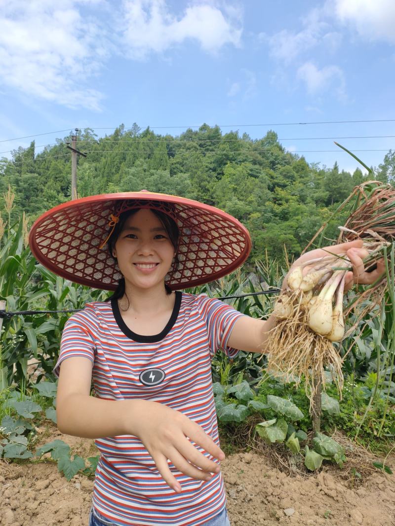 湖南藠头荞头鲜货