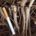 北柴胡籽.2020新产-出芽率98%-【包邮】