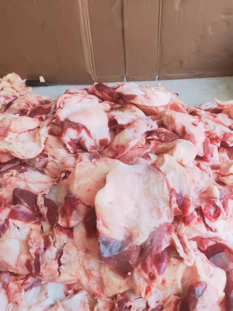 山东牛碎肉证件齐全批发零售厂家直发保质保量常年供应