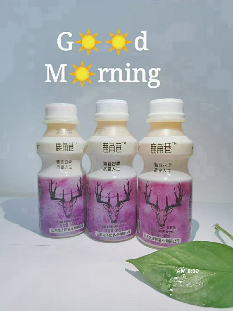 乳酸菌，鹿角巷。