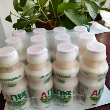 乳酸菌，鹿角巷。